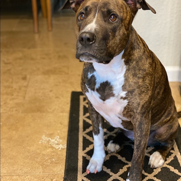 Meet your Posher, Briana - Picture 8 of 9